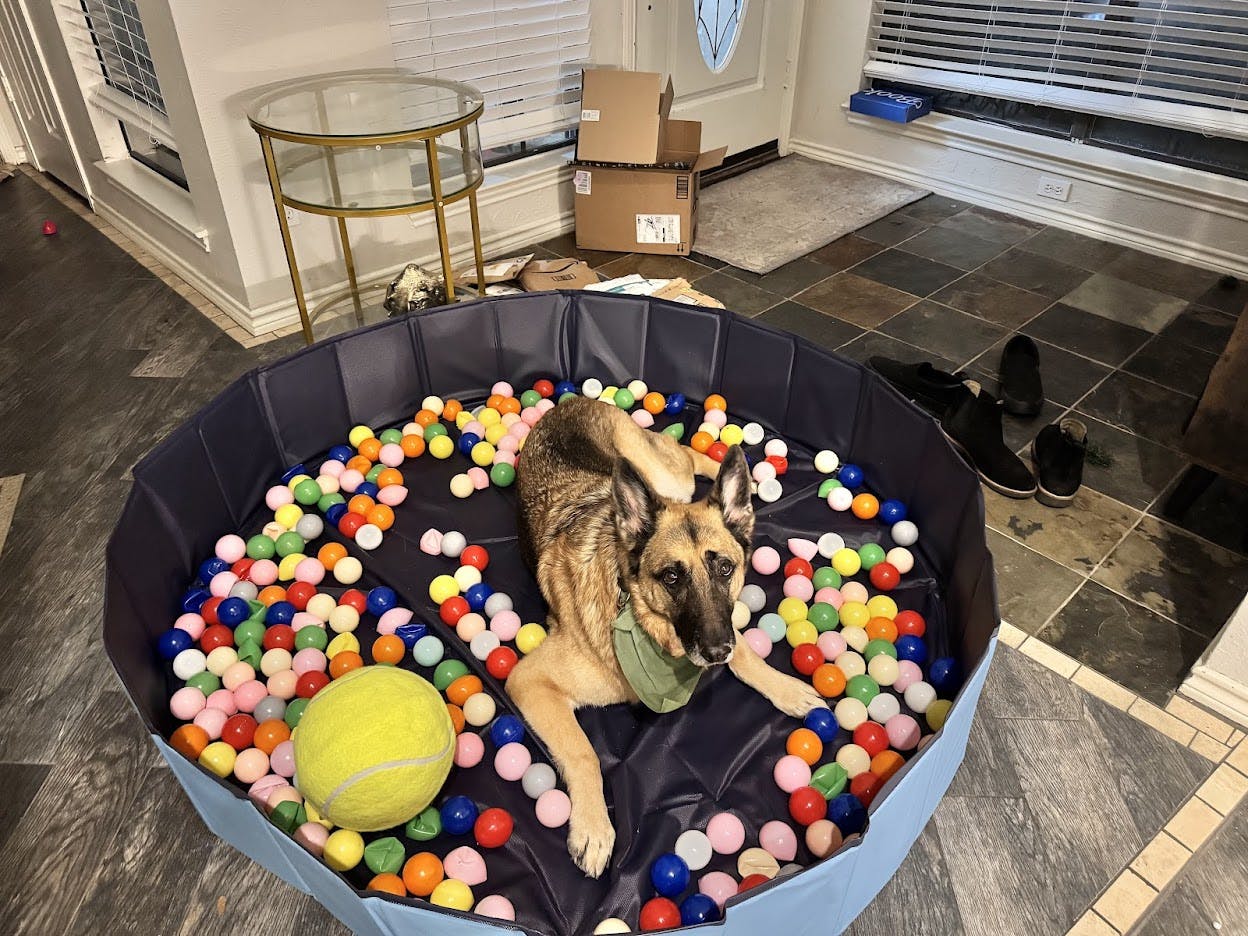 Augie on his birthday in a ball pit